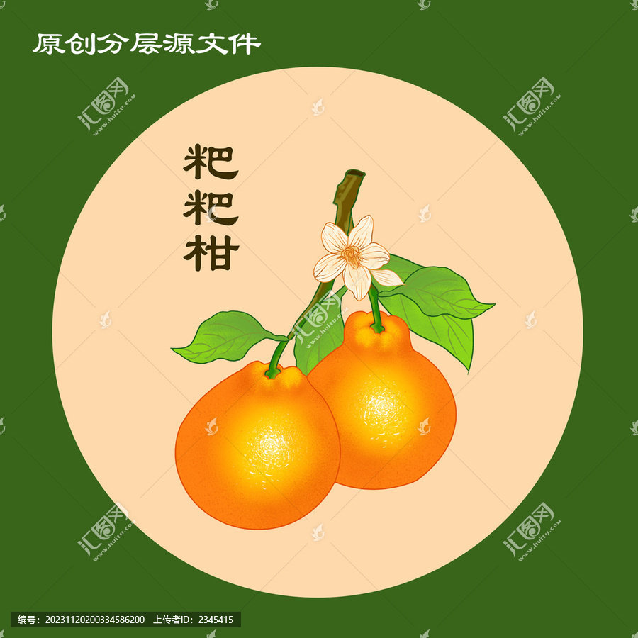 粑粑柑插畫(huà)