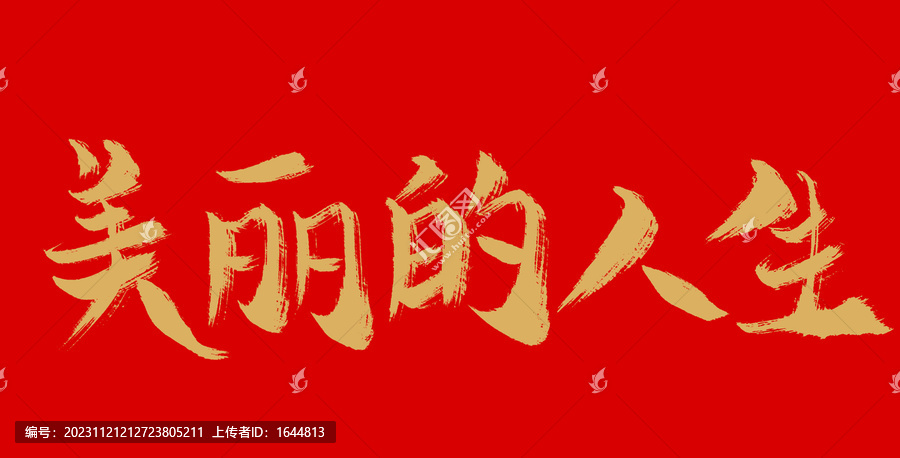美麗的人生