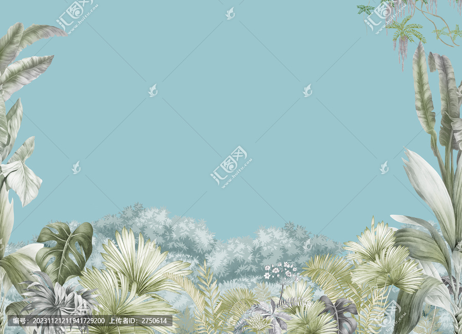 原始雨林