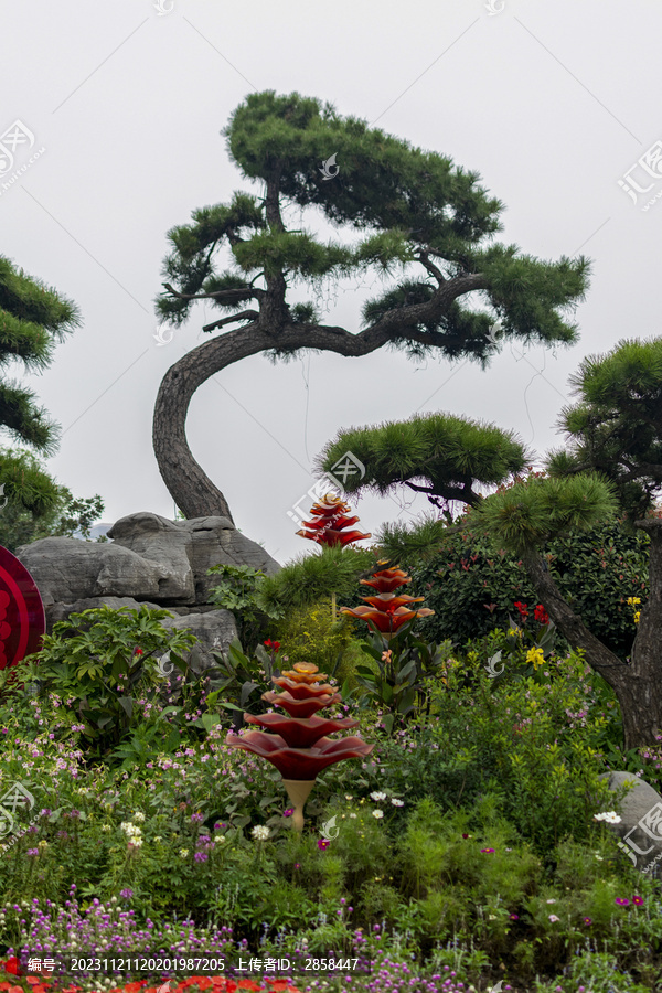 迎客松景观设计