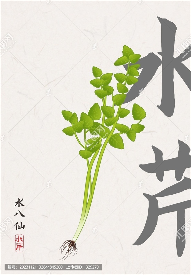 手繪水芹