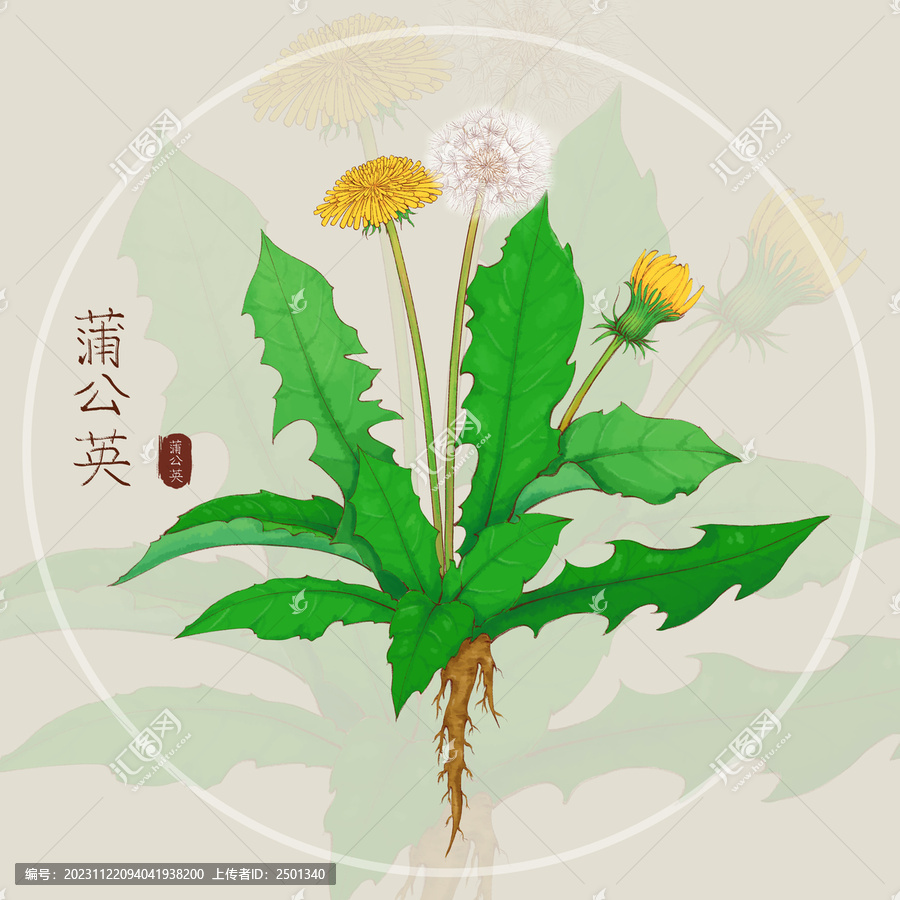 原創(chuàng)手繪水彩風(fēng)蒲公英插畫