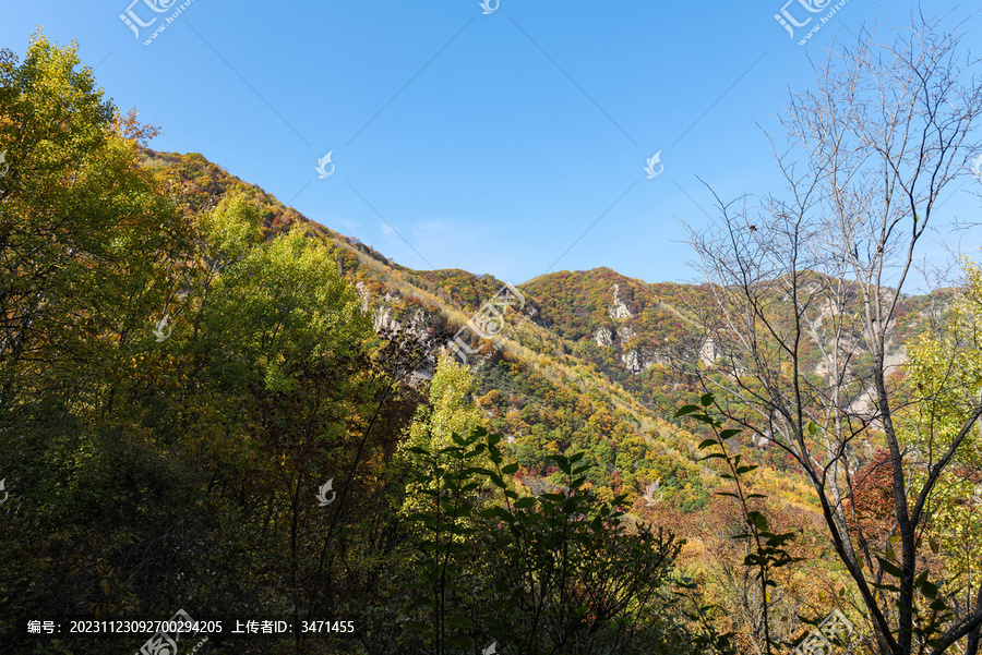 喇叭沟原始森林公园