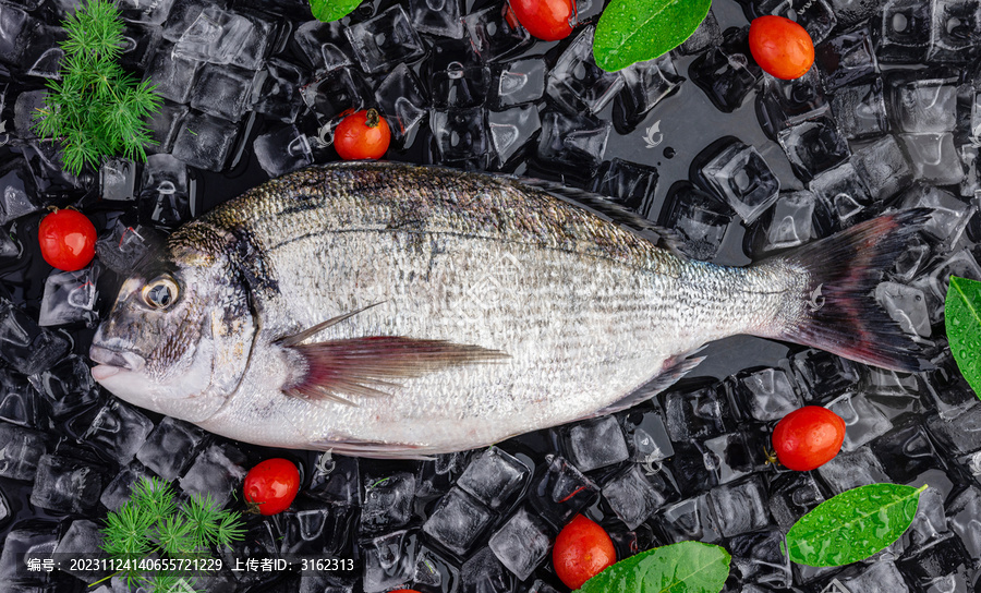 金雕魚