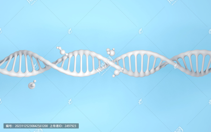 白色横幅DNA