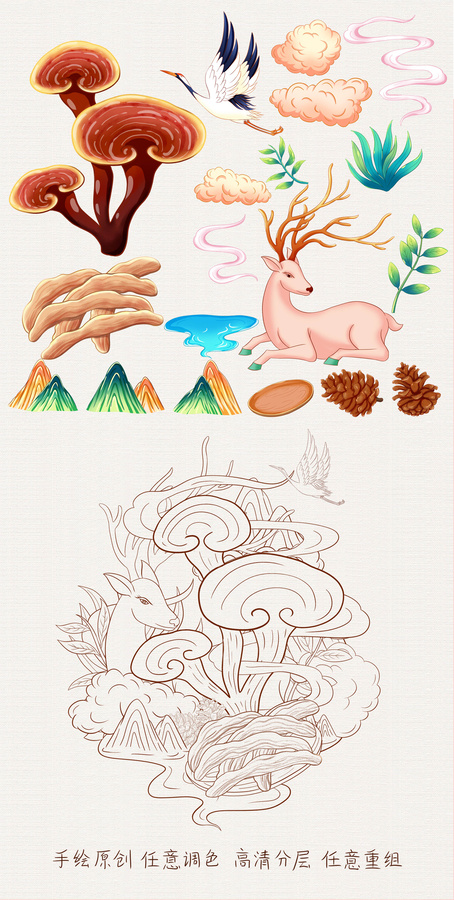 靈芝插畫