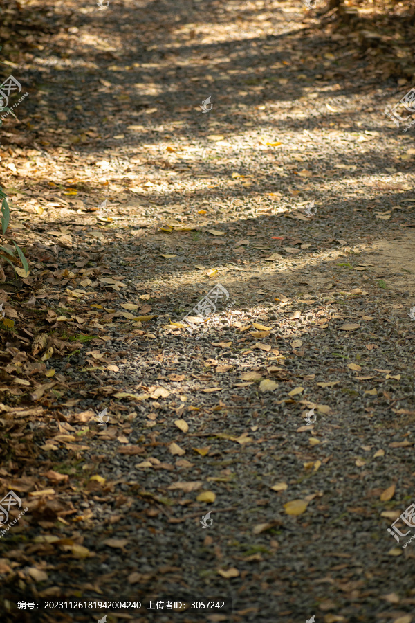 石子路