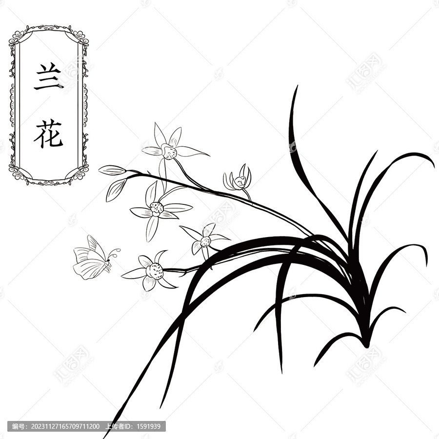 蘭花線稿
