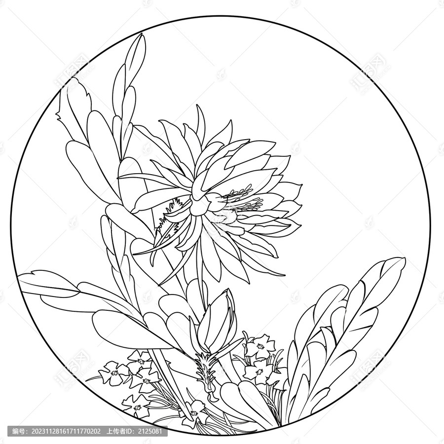 秋菊傲霜國(guó)潮矢量手繪白描線稿