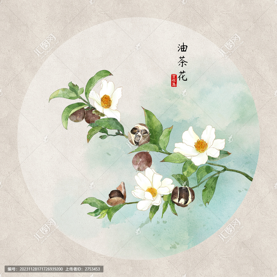 油茶花