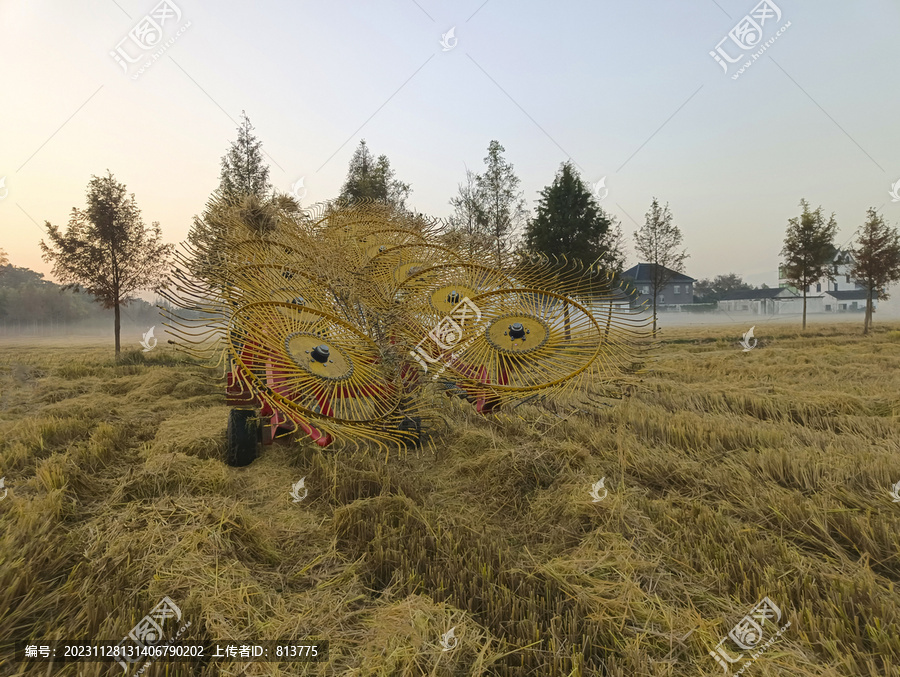 稻田打捆稻草