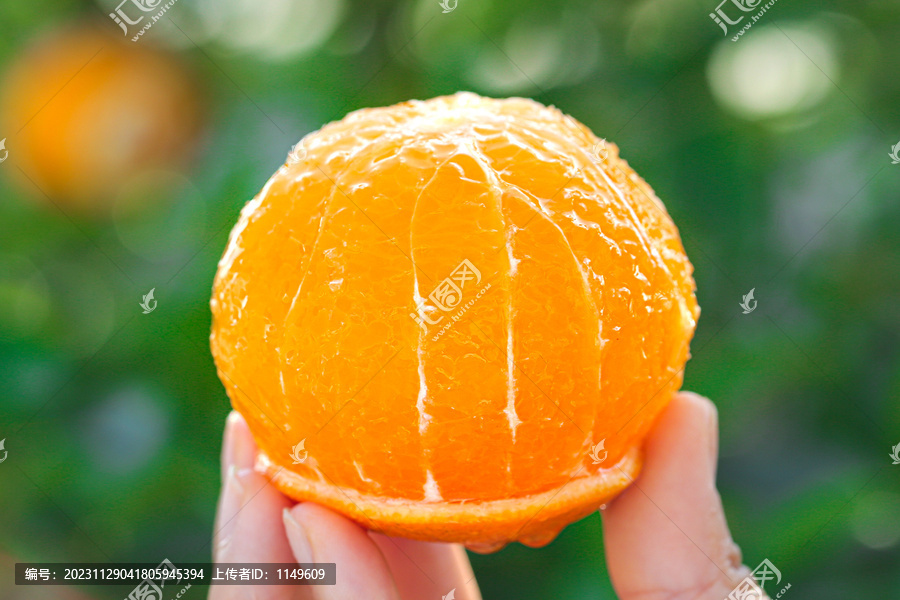 手里拿着爱媛果冻橙