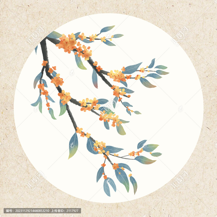 古風(fēng)水彩植物花卉桂花