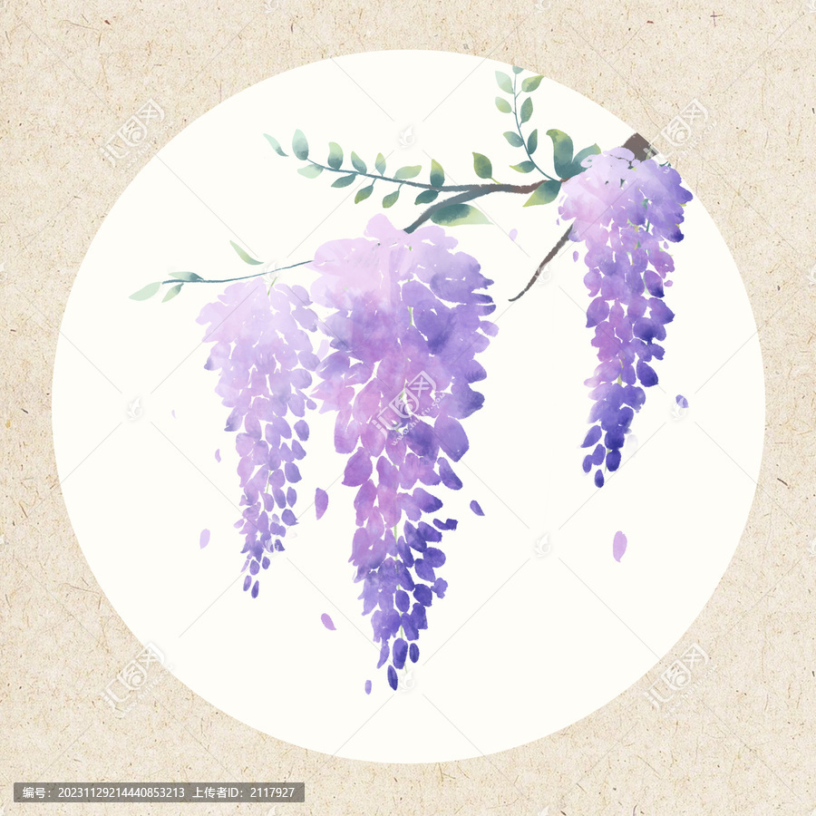 古風(fēng)水彩植物花卉紫藤花