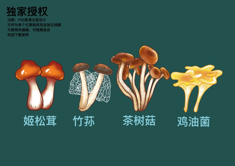 山珍禮盒包裝插畫