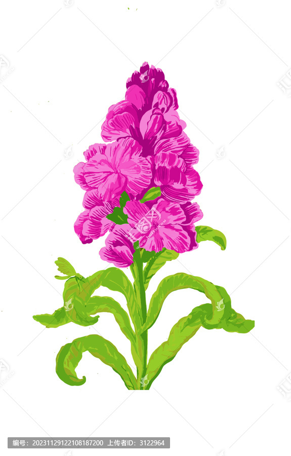 紫羅蘭植物花卉免扣素材