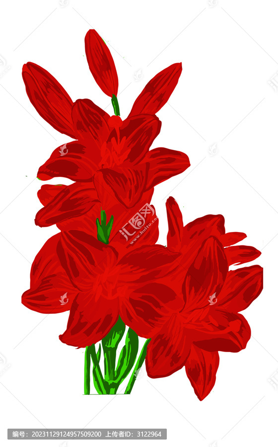 紅色百合植物花卉免扣素材
