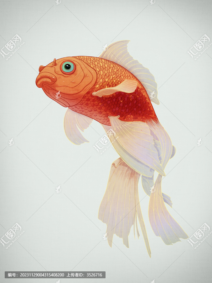 金魚