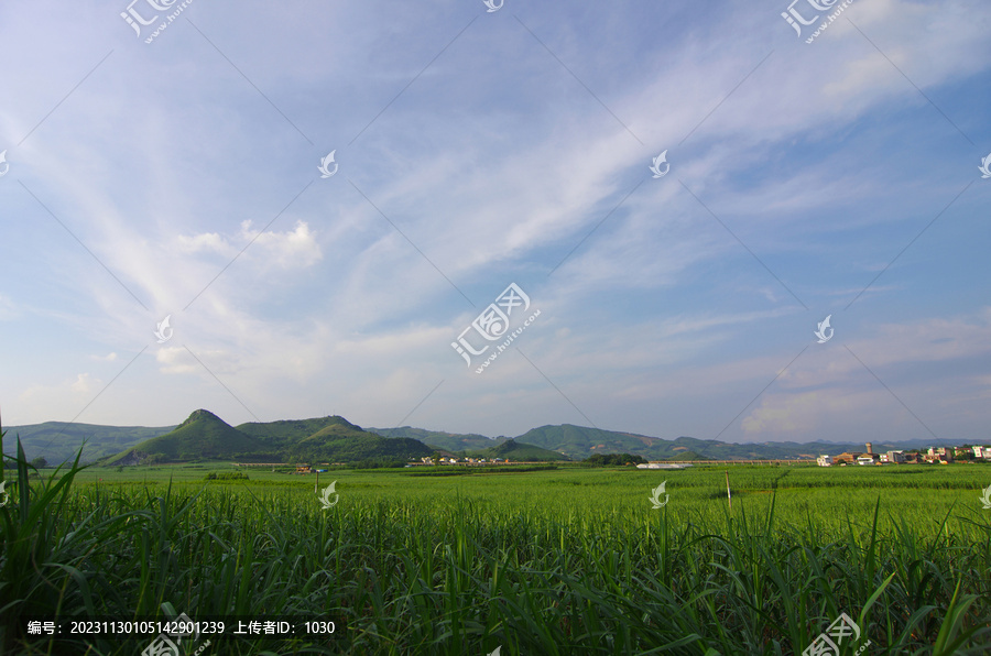 乡村风景自然风景绿色乡村