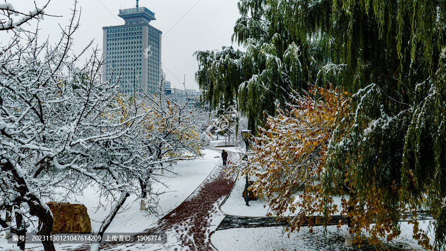 雪后的中国长春城区建筑景观