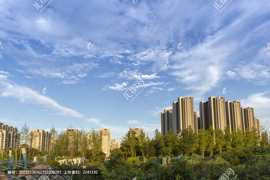 户外园林天空自然风光