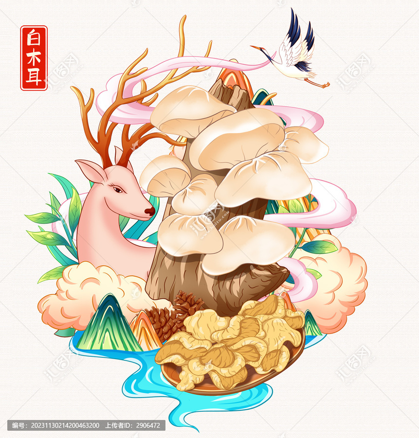白木耳插畫手繪