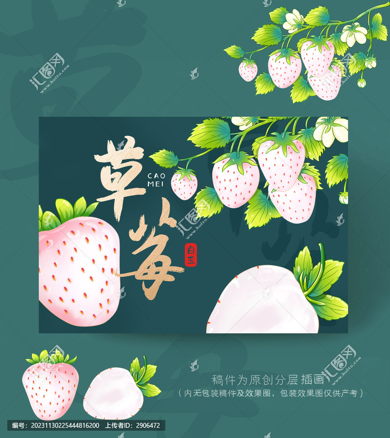 白草莓包裝插畫