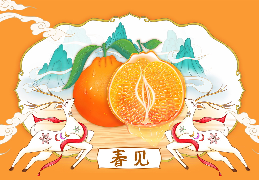 春見(jiàn)包裝