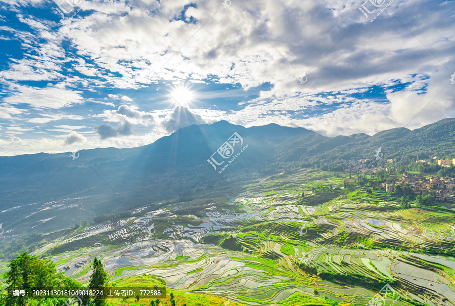 云南元阳县多依树梯田风景