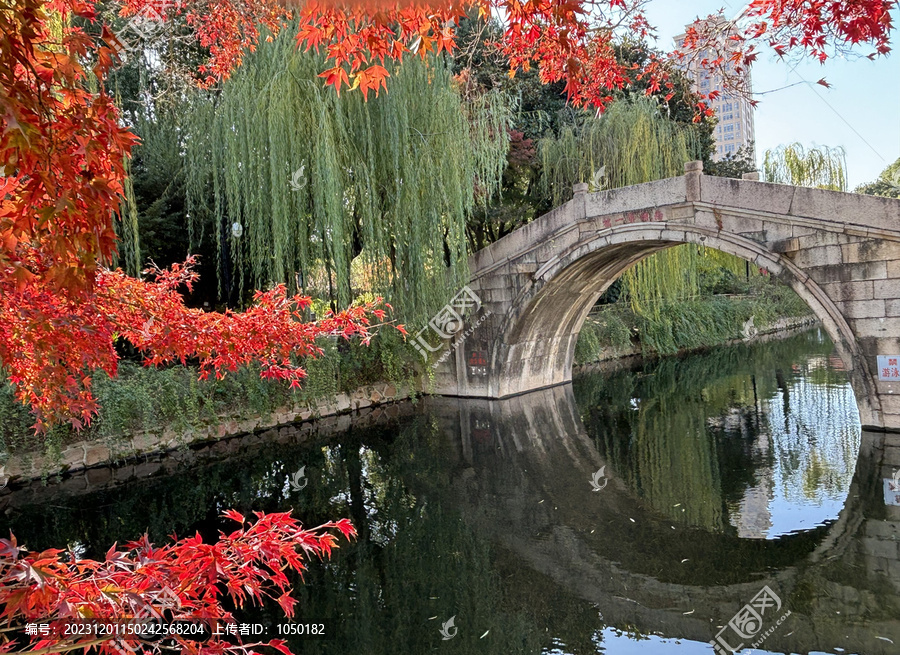 古典园林红枫季节