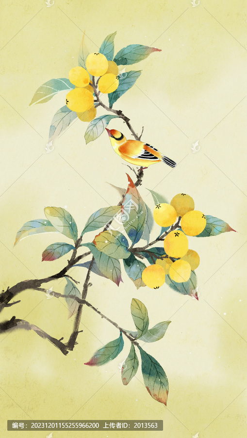 古風(fēng)枇杷插畫