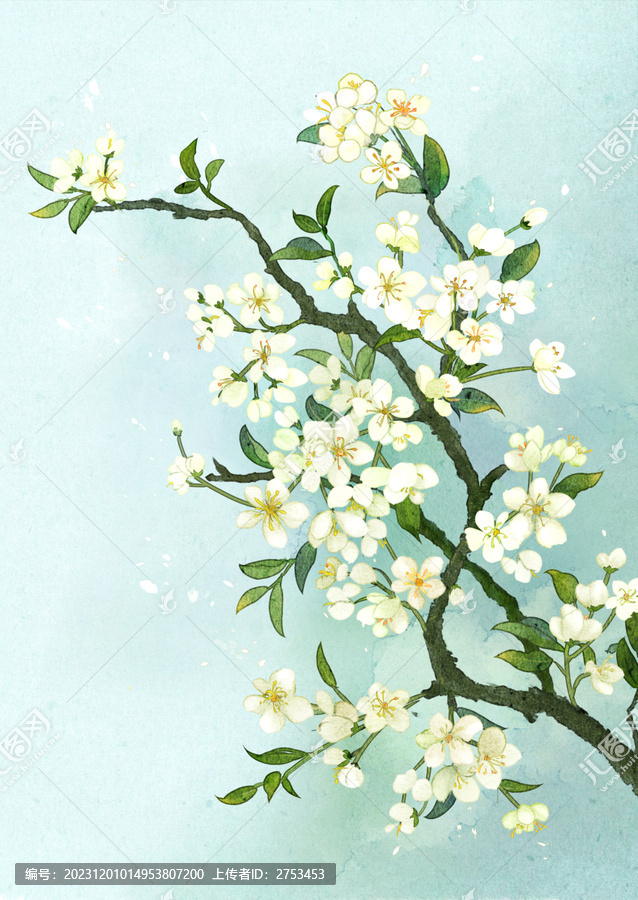 梨花插畫