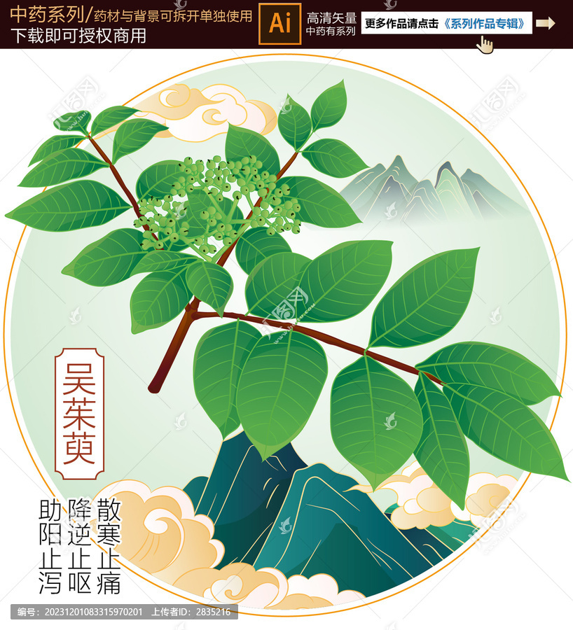 吳茱萸