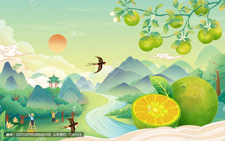 國(guó)風(fēng)新會(huì)青柑金桔手繪插畫