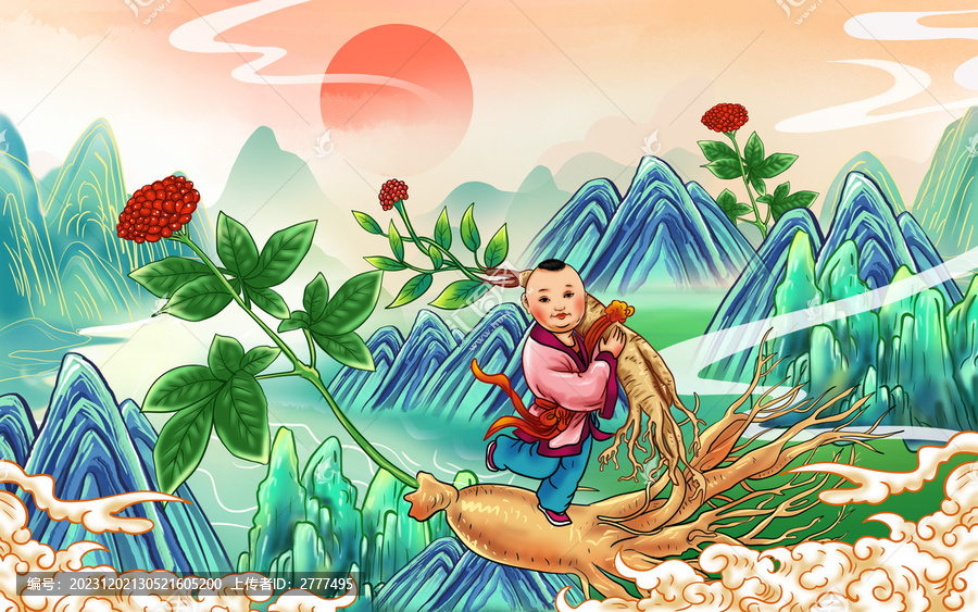 手繪人參包裝插畫