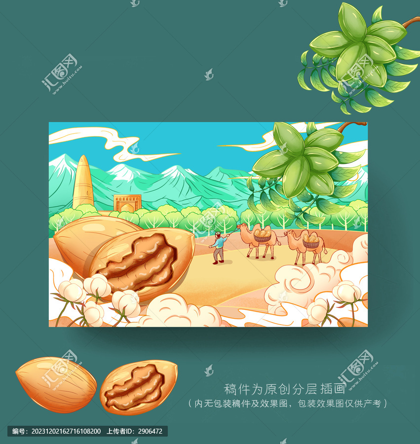 碧根果插畫包裝