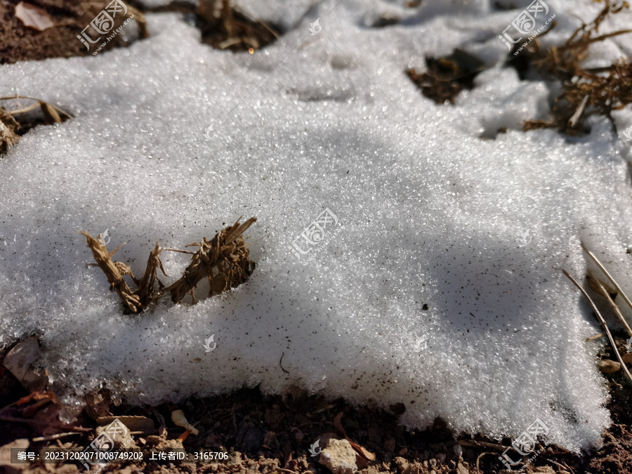 积雪