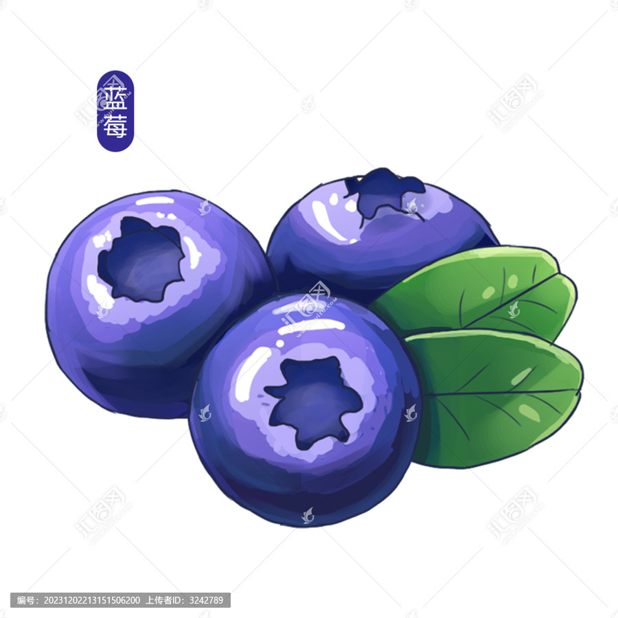 手繪藍莓