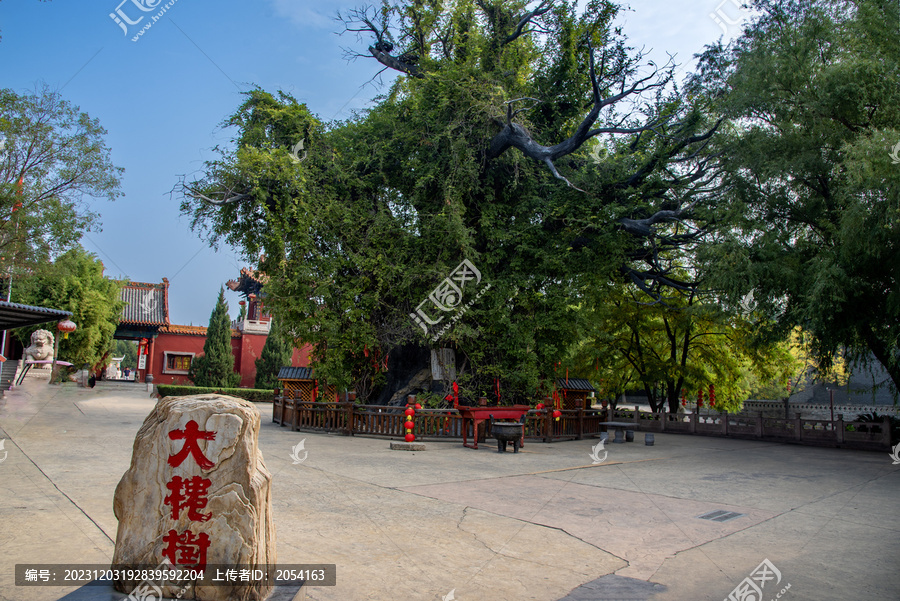 山西省洪洞县大槐树景区