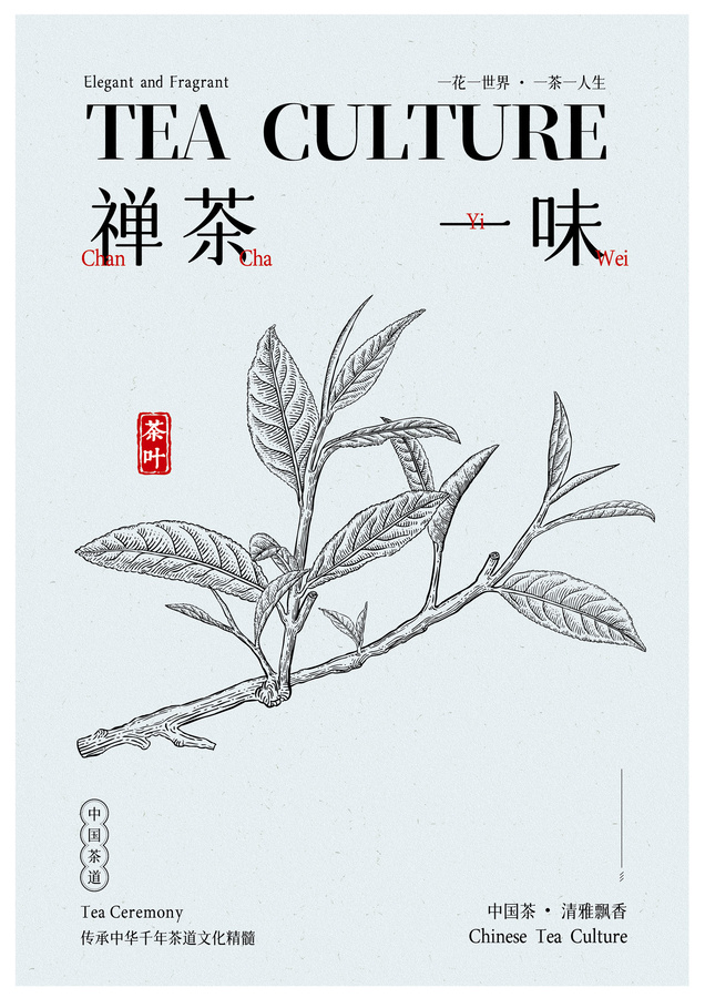 茶叶插画