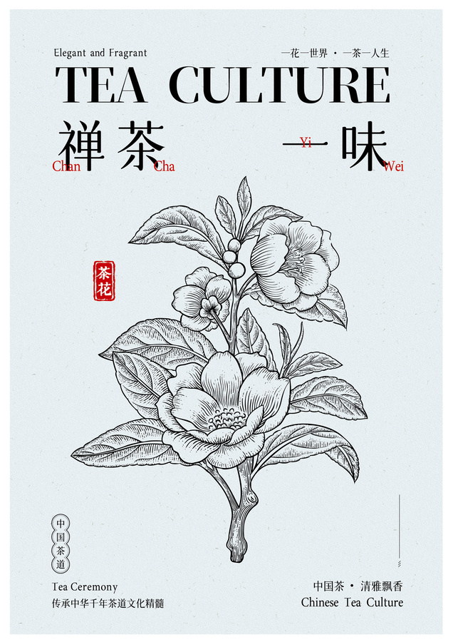 山茶花插画