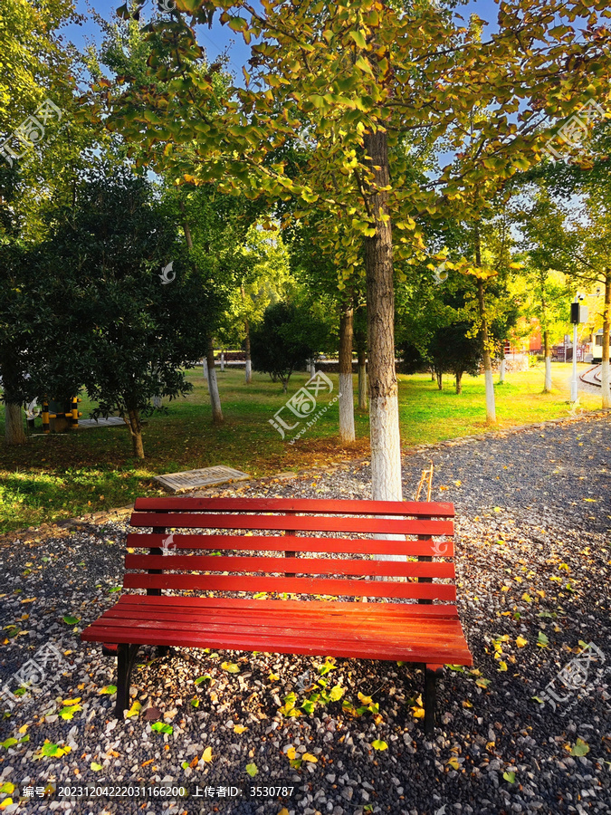 银杏树下的凳子