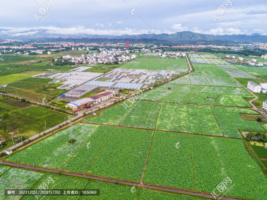 新农村农田高清航拍全景