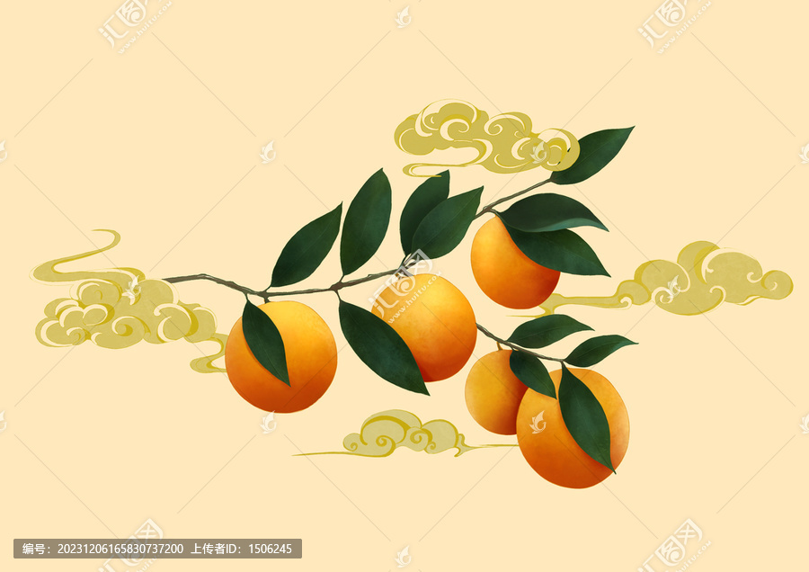 金桔包裝插畫蜜桔金桔國(guó)風(fēng)新中式