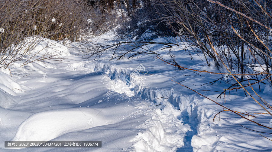 中国雪乡羊草山森林小路雪景