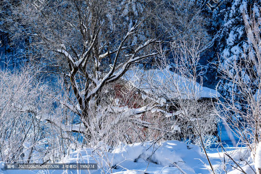 中国雪乡羊草山风景区雪后风景