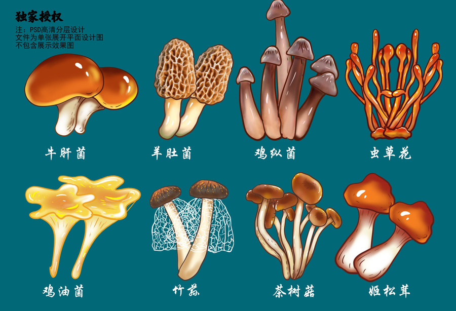 山珍禮盒