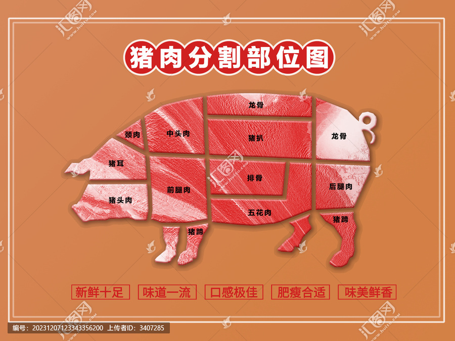 豬肉分割圖