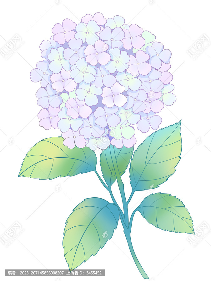 繡球