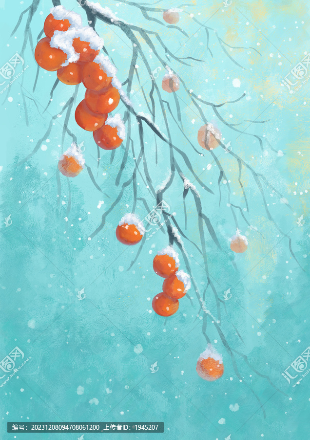 冬季雪地里的柿子插画